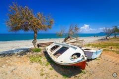 oliva-hotel-exterior-photo-0002