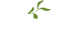 oliva-logo-white-green
